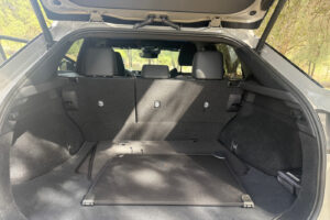 2026 Lexus RZ 550e F-Sport Interior